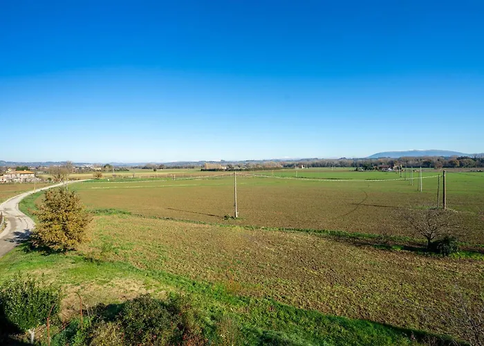 Guesthost - Bright Lägenhet