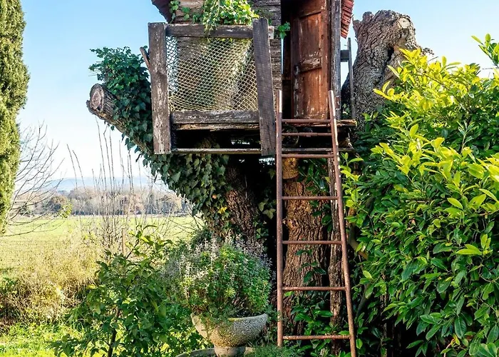 Guesthost - Bright San Martino In Campo